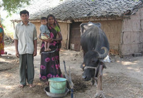 Bamroli-2