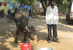 Valothi