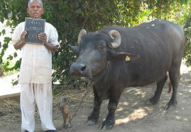 Ratanpura